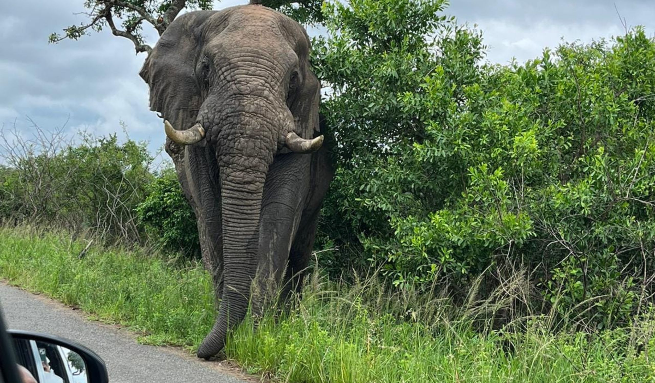 Access2Africa Safaris guests on tour
