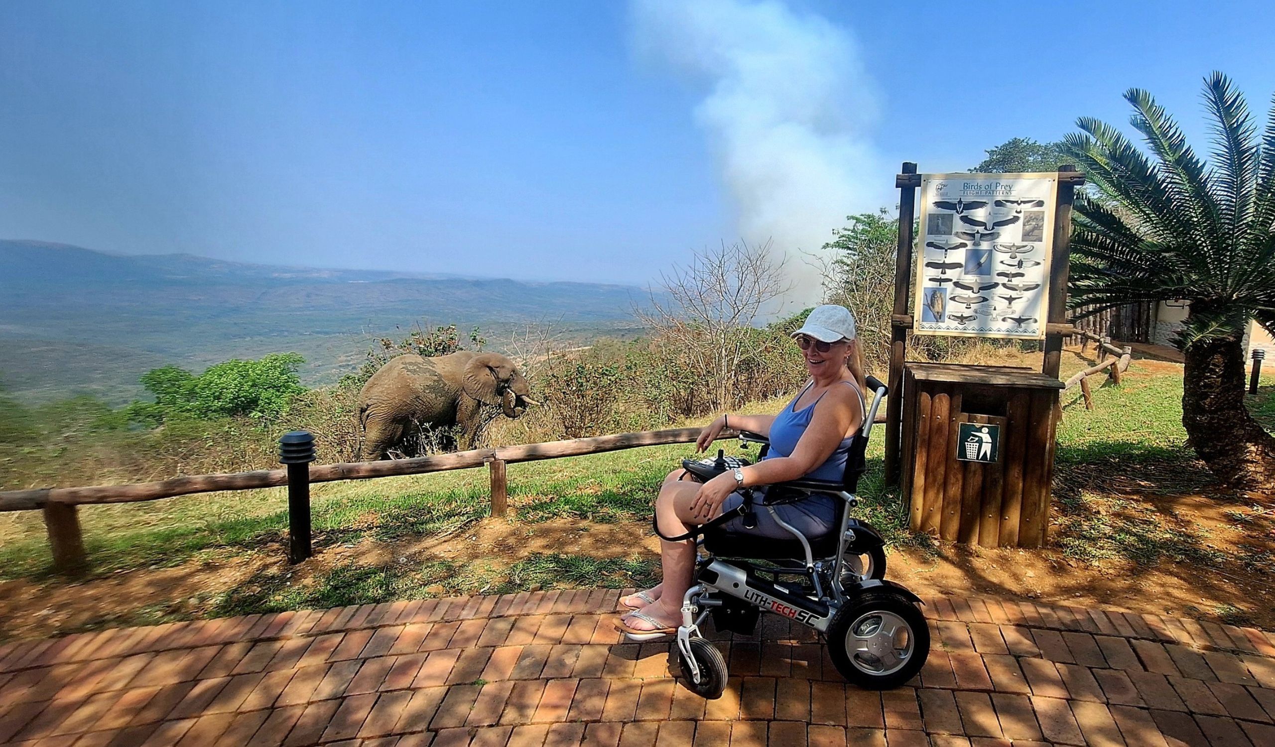 A woman in a silver power wheelchair smiles for a photo on a paved path overlooking a scenic valley. In the background, a large African elephant grazes near the fence line, and a "Birds of Prey" informational sign stands nearby.