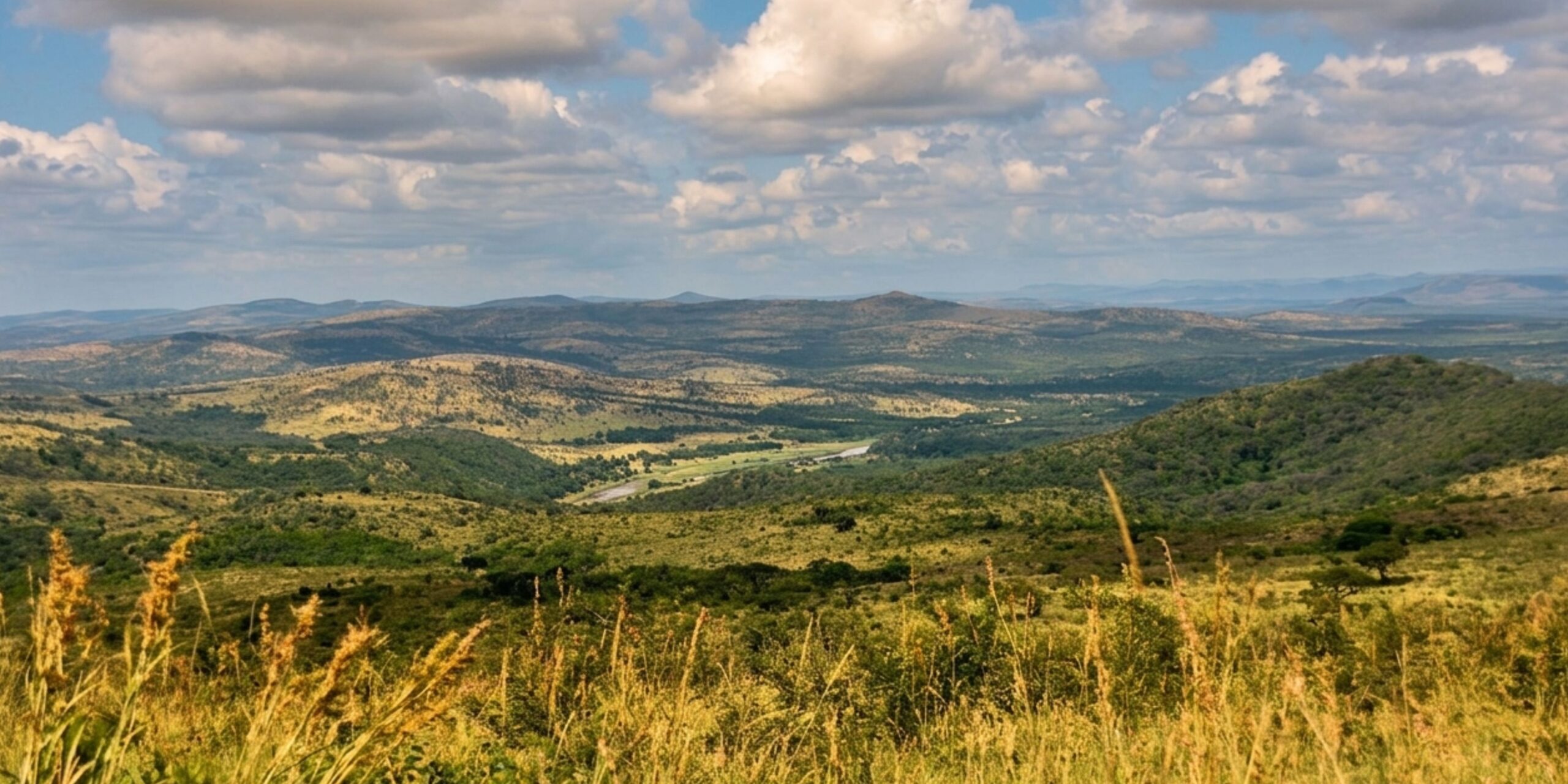 Panoramic view of the lush rolling hills and vast green landscape of Africa’s oldest nature reserve, captured during a Hluhluwe-iMfolozi accessible safari.