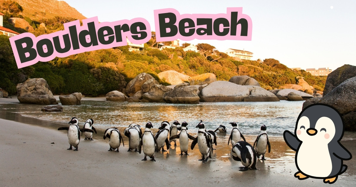 A group of pengiuns on Boulders Beach, plus a cartoon pengiun and the text "Boulders Beach".