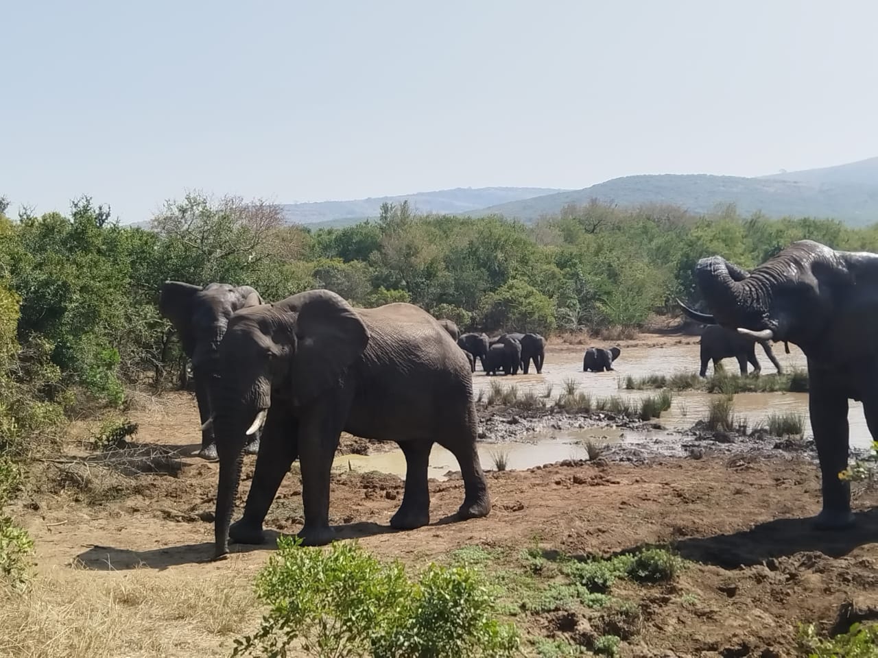 Access 2 Africa Safaris — replace this placeholder with a real hero photo